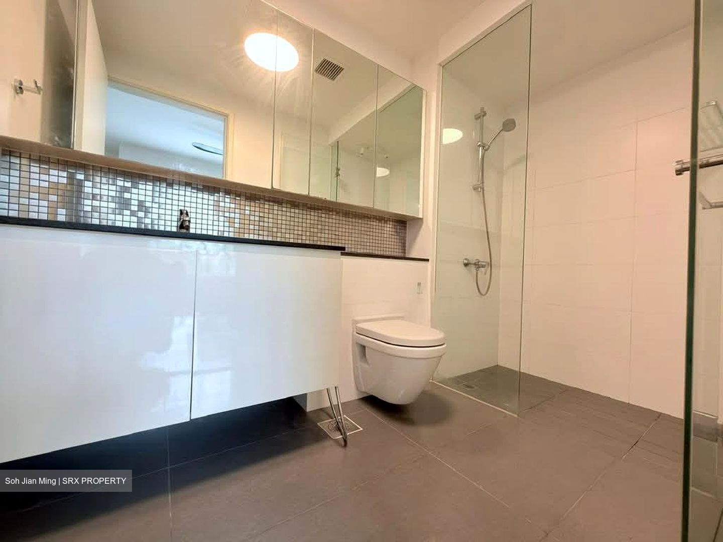 The Minton (D19), Condominium #594951651